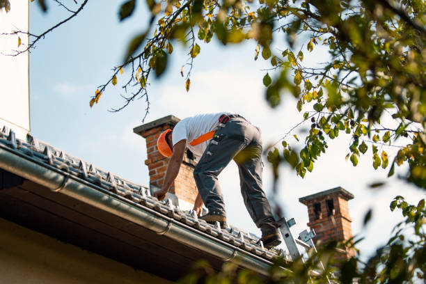 Best Gutter Installation and Repair  in Vance, AL